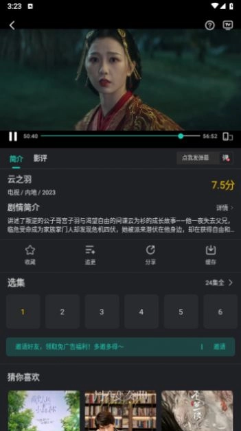 海鸥视频图3