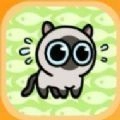 冒险猫游戏无广告版