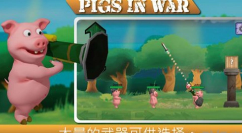 战争中的猪图3
