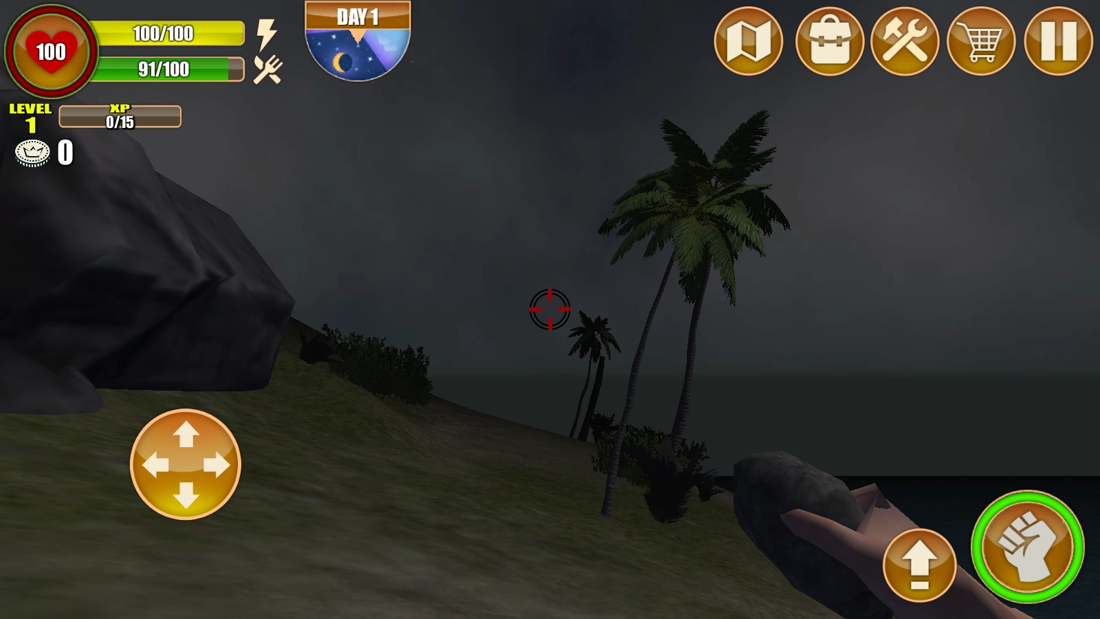 迷失的荒岛求生-图1