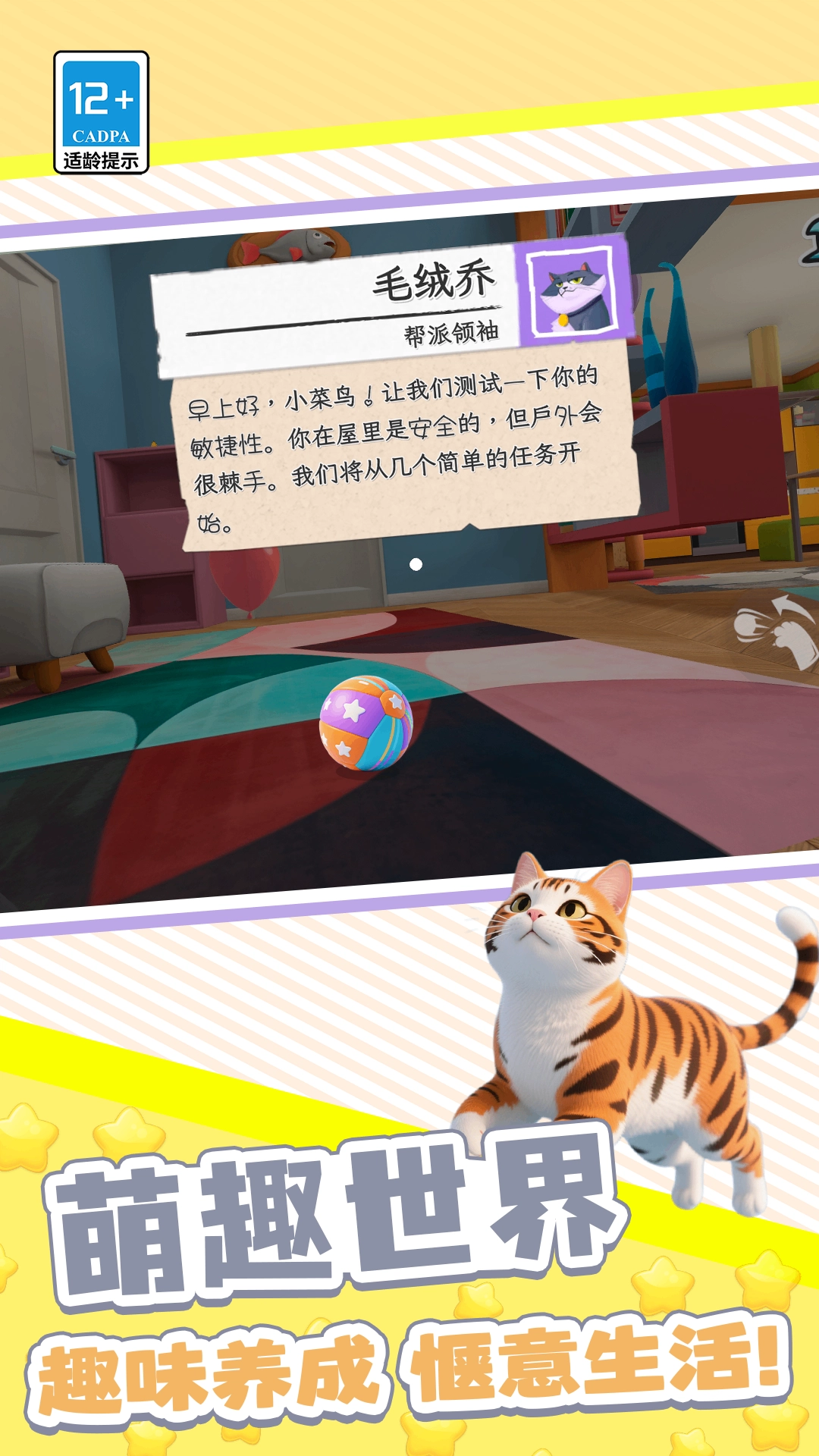 我的猫咪哪去了(3)