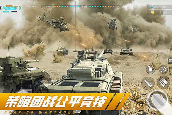 巅峰坦克安卓版(2)
