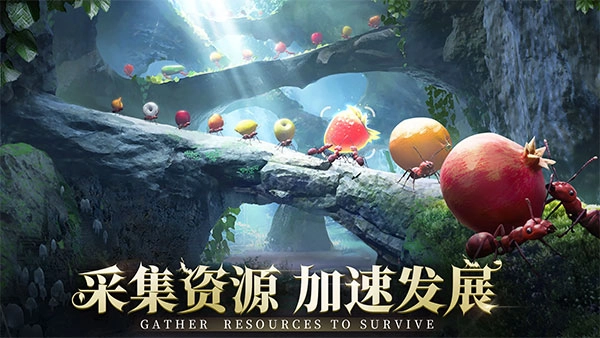 小小蚁国国际服最新版(1)