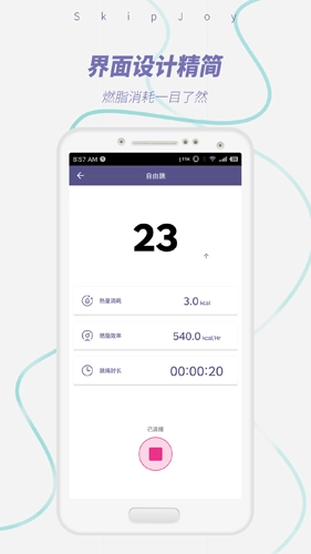 SkipJoy图2