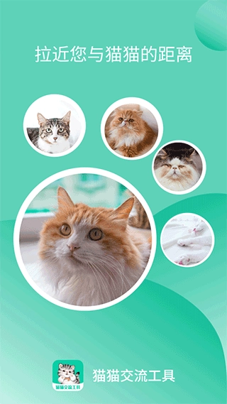 猫猫交流器图1