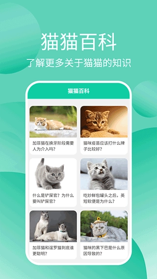 猫猫交流器图2