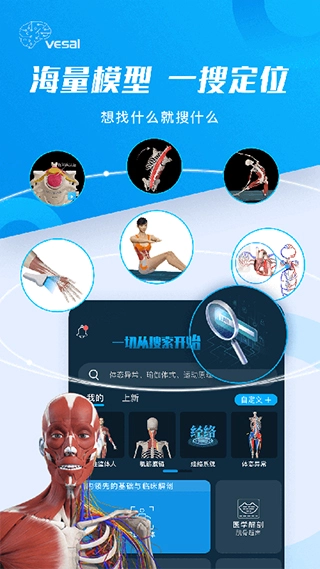 解剖大师图2