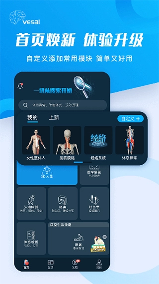 解剖大师图1