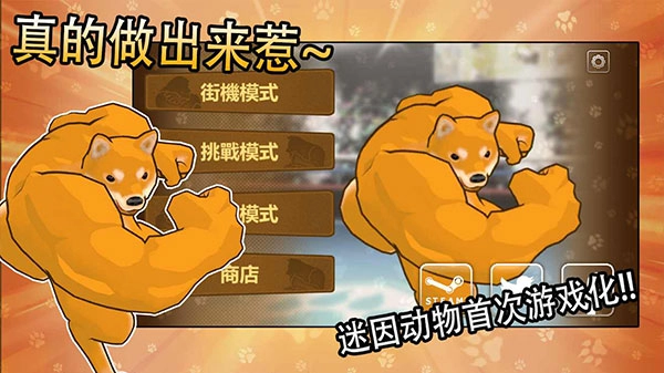 动物之斗正版图3