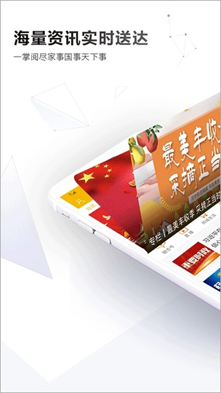 邳州银杏甲天下图4