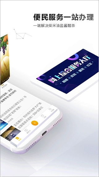 邳州银杏甲天下图5