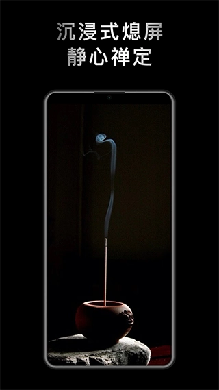 小鲜木鱼正版图4