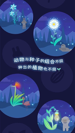 夜之森中文版图4