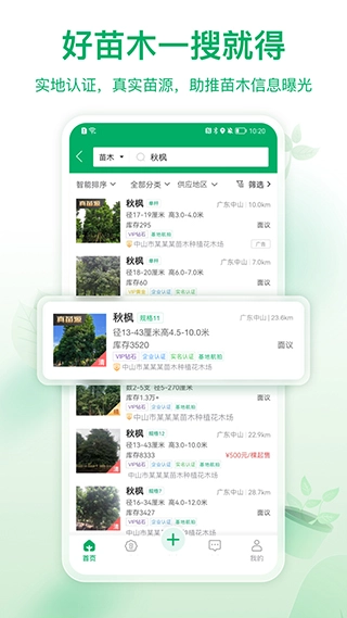苗仓图2