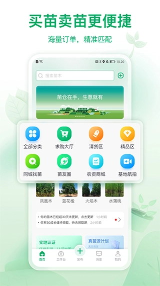 苗仓图1