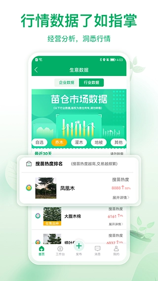 苗仓图4