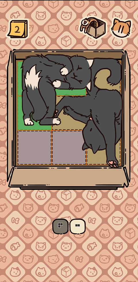 盒子猫游戏