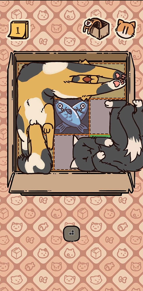 盒子猫游戏