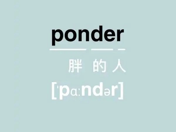 轻轻松松背单词电脑版图3