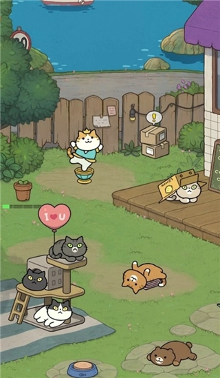神秘猫咪字典手机版(3)