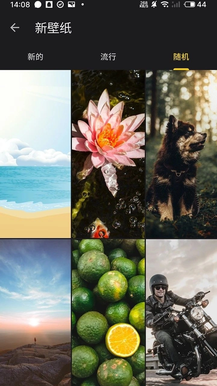 快全全壁纸图4