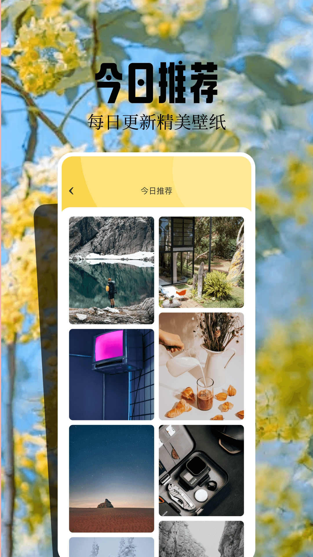 魔秀桌面壁纸 图2