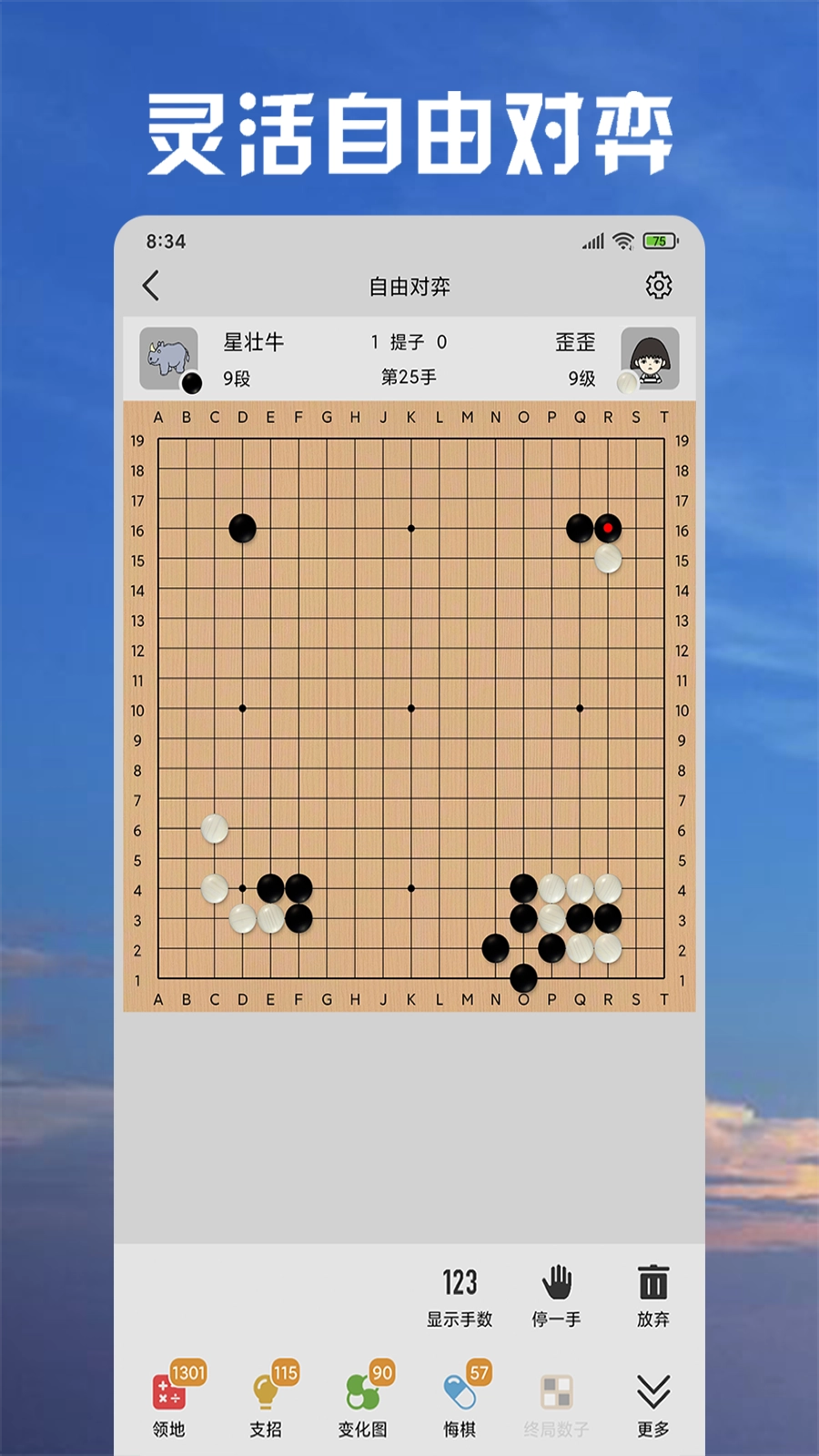 星阵围棋2024