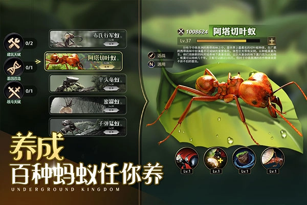 小小蟻國(guó)最新版圖1