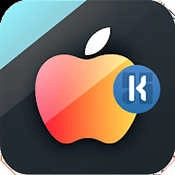Apple Widgets 