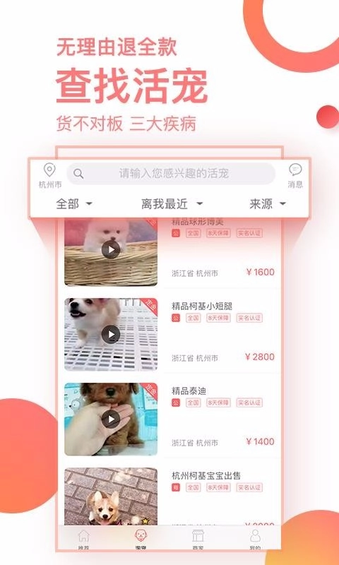 淘宠网图1
