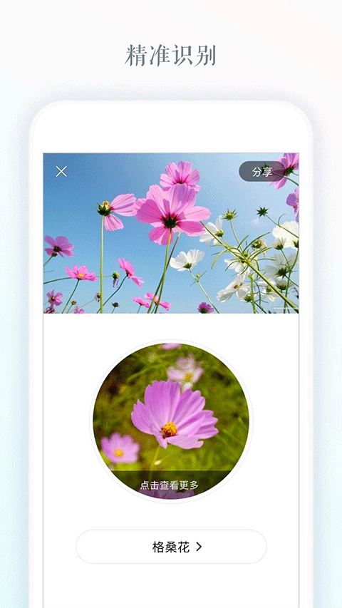 识花图4