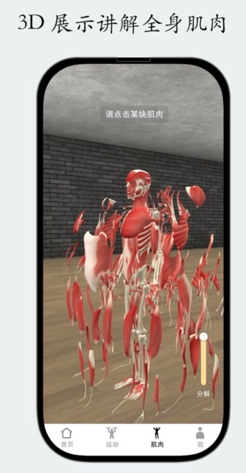 尚可健身图2