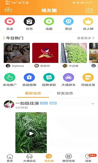 大埔网图4