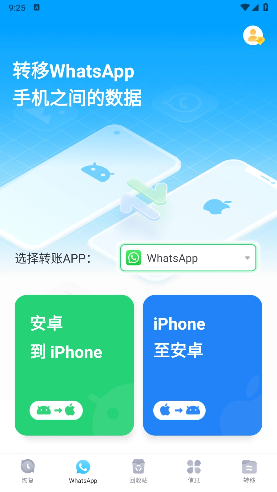丰博士