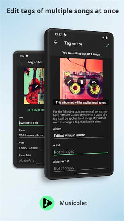 musicolet手机版图1