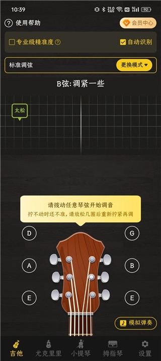 调音器专业版图2