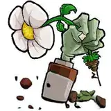 植物大战僵尸混合版 v3.0.2