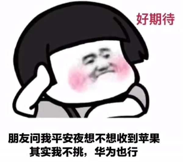 平安夜晚上出来吃苹果我带上苹果你带上身份证表情包 图3