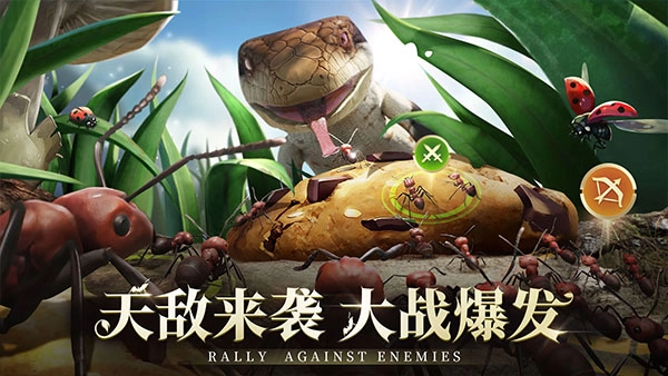 小小蚁国国际服最新版(5)