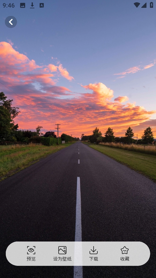 手机主题商店 图3