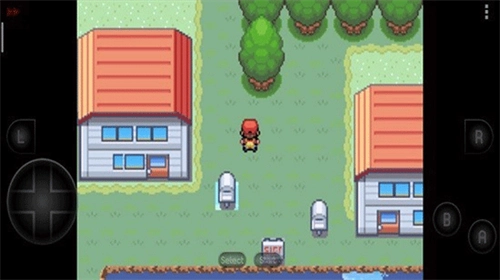 口袋妖怪彼岸花绽放之夜汉化版(2)