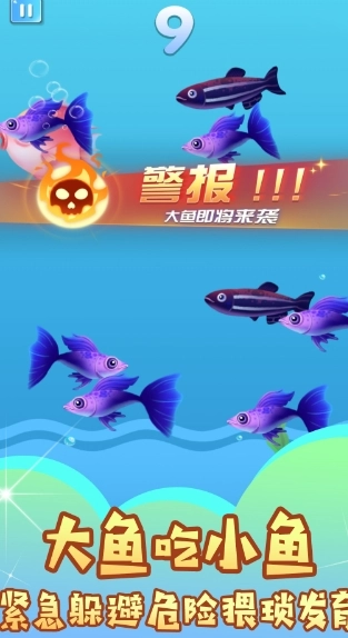 吃遍海洋无敌手(3)