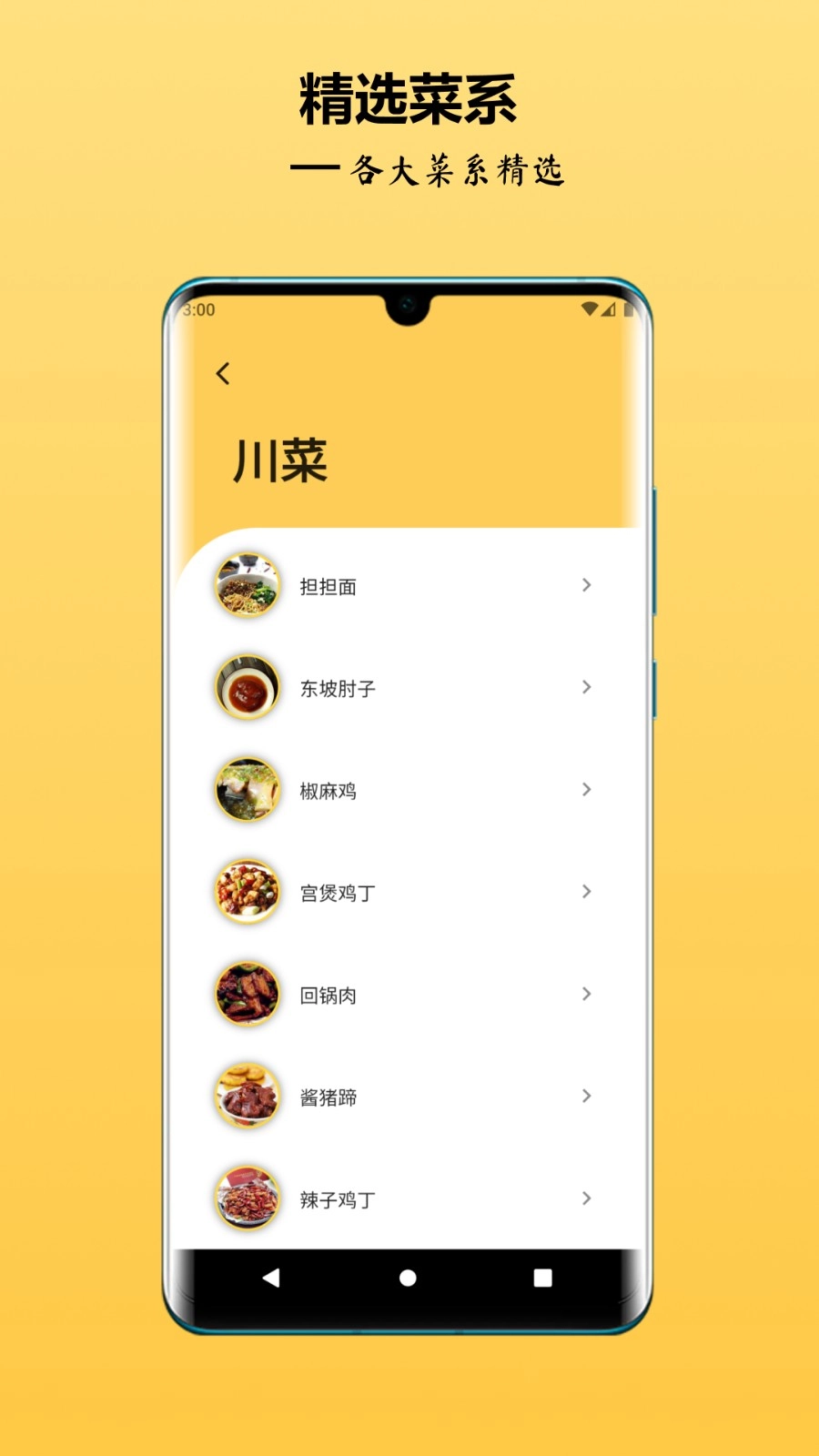 中华美食谱图1