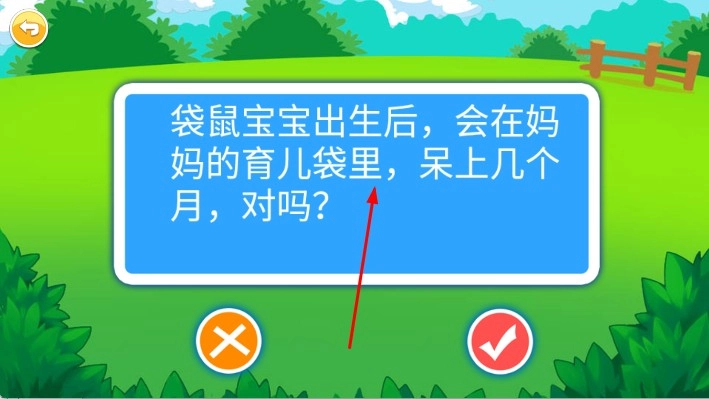儿童脑力竞赛