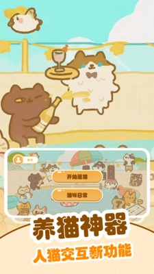 逗猫游戏