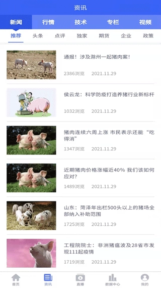 养猪宝图4