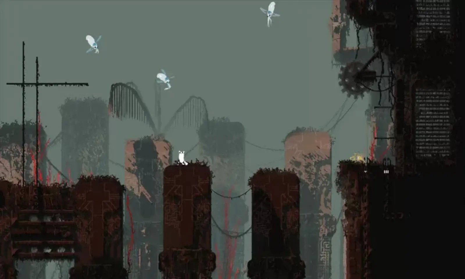 雨世界倾盆大雨