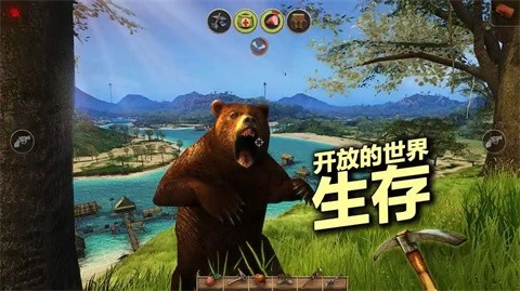 辐射岛生存(4)