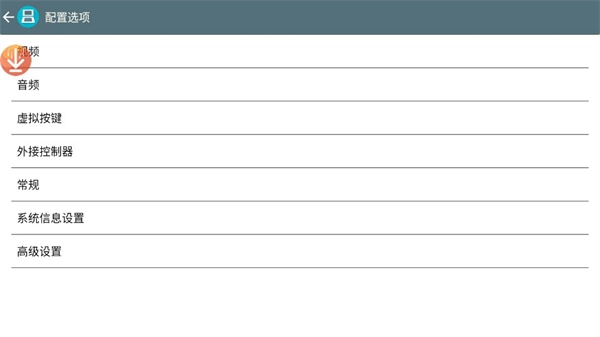 drastic模拟器最新版图2
