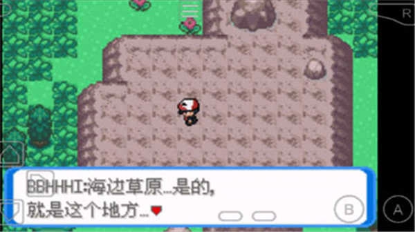 口袋妖怪圣灰 
